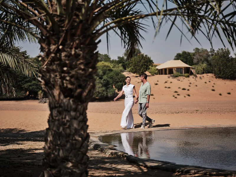 알 마하 럭셔리 컬렉션 데저트 리조트 & 스파 (Al Maha, a Luxury Collection Desert Resort & Spa, Dubai) 여행 추천 - 로드트립