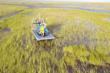 포트로더데일: 게이터나이트 60분 에버글레이즈 에어보트 어드벤처 여행 추천 - 메고지고