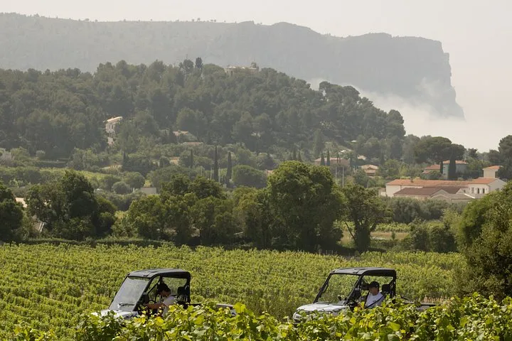 Cassis Domaine forest des janots and route des ridges en Buggy 여행 추천 - 로드트립