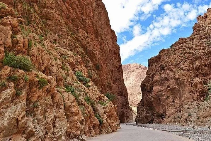 4 Days Morocco Desert Tour from Marrakech 여행 추천 - 로드트립