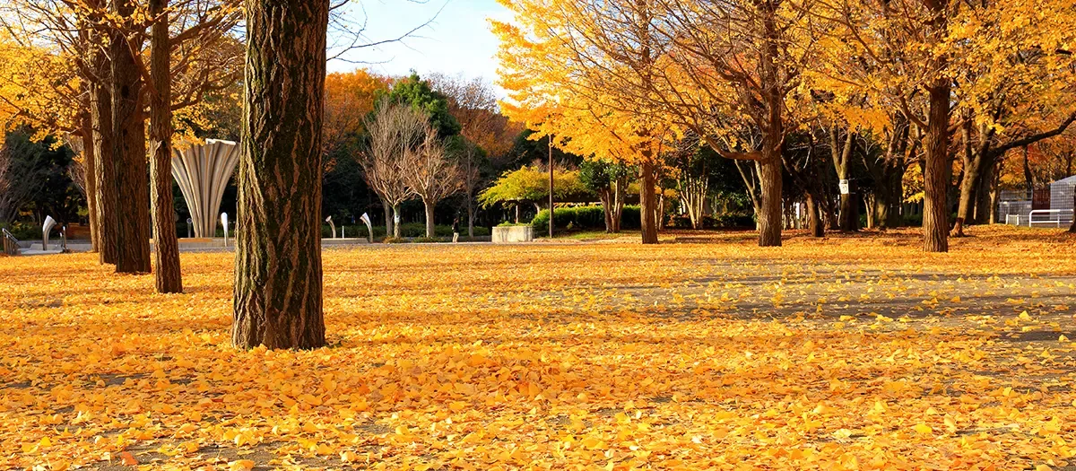 아카쓰카 공원 여행 추천 - 메고지고