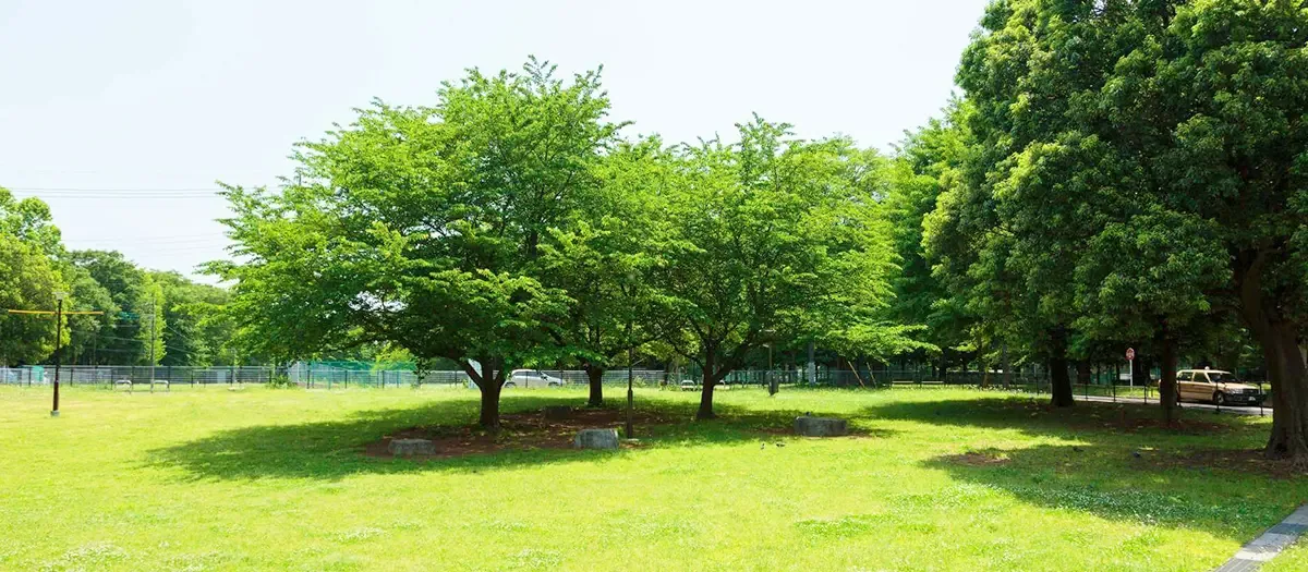 조호쿠 중앙공원 여행 추천 - 메고지고 조호쿠 중앙공원 여행 추천 - 메고지고