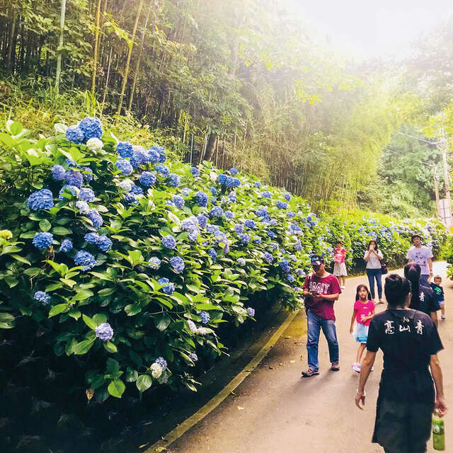 다난족 여행 추천 - 메고지고 다난족 여행 추천 - 메고지고