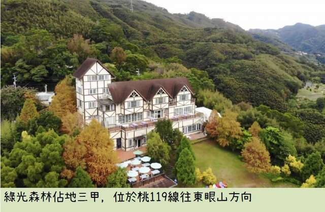 초록빛 숲 여행 추천 - 메고지고 초록빛 숲 여행 추천 - 메고지고