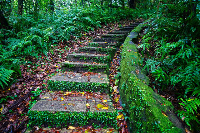 난강산계_Gengliao Ancient Road Mountain Trail 여행 추천 - 메고지고