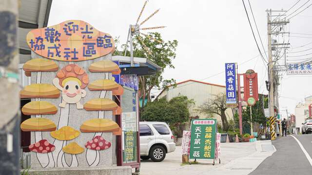 신서(Xinshe) 비즈니스 지구 여행 추천 - 로드트립