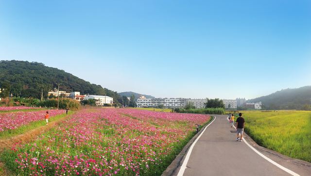 메이플 행 여행 추천 - 메고지고 메이플 행 여행 추천 - 메고지고