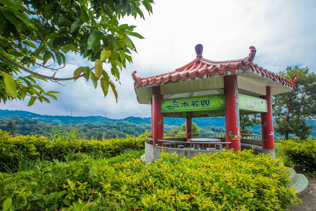 롱탄 산수이 티 가든 여행 추천 - 메고지고 롱탄 산수이 티 가든 여행 추천 - 메고지고