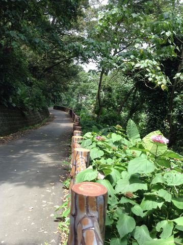 Yucheng Road 고대 도로 여행 추천 - 메고지고