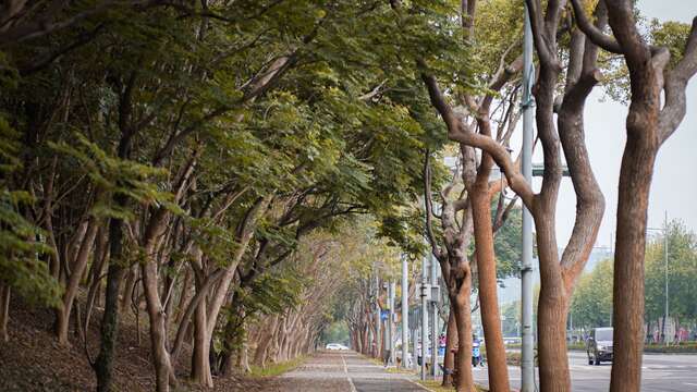 중커 자전거 트레일 여행 추천 - 메고지고
