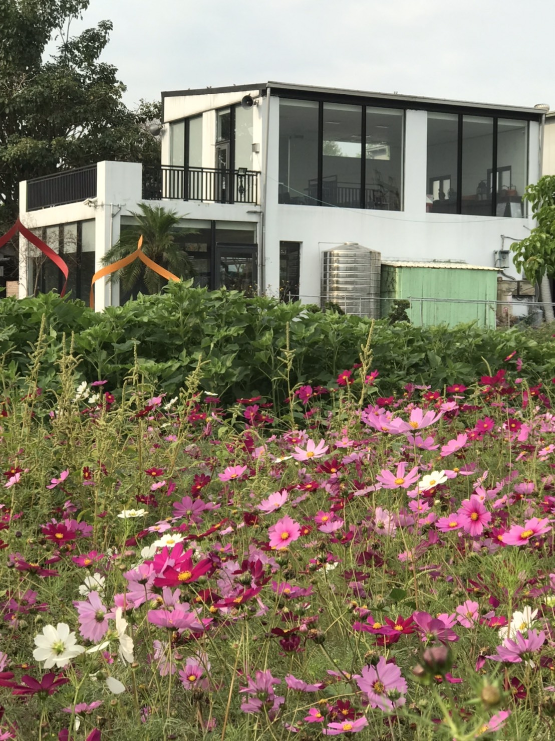다나카 가마 크리에이티브 파크 여행 추천 - 메고지고 다나카 가마 크리에이티브 파크 여행 추천 - 메고지고