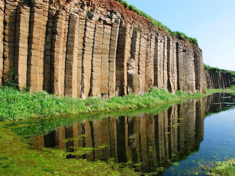 Macrocarpa 주상현무암 여행 추천 - 메고지고 Macrocarpa 주상현무암 여행 추천 - 메고지고