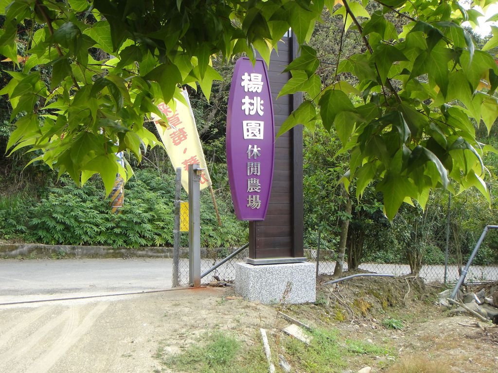 양타오위안 레저 농장