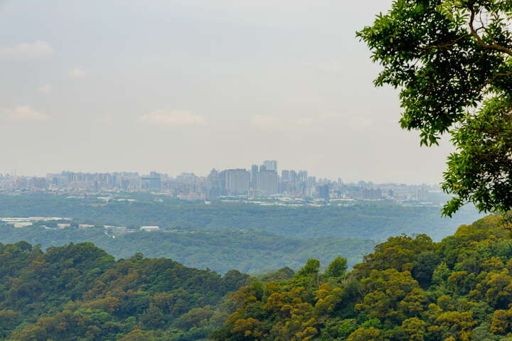 관음산 삼림 산책로 여행 추천 - 메고지고