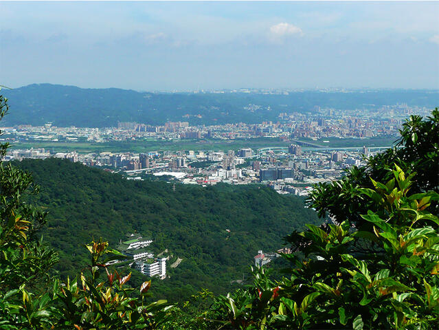 천상산 산책로 여행 추천 - 메고지고