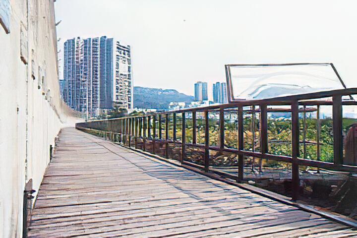 황금수변 자전거길 여행 추천 - 메고지고 황금수변 자전거길 여행 추천 - 메고지고