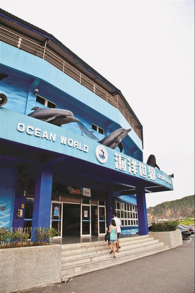 예류 오션월드 여행 추천 - 메고지고