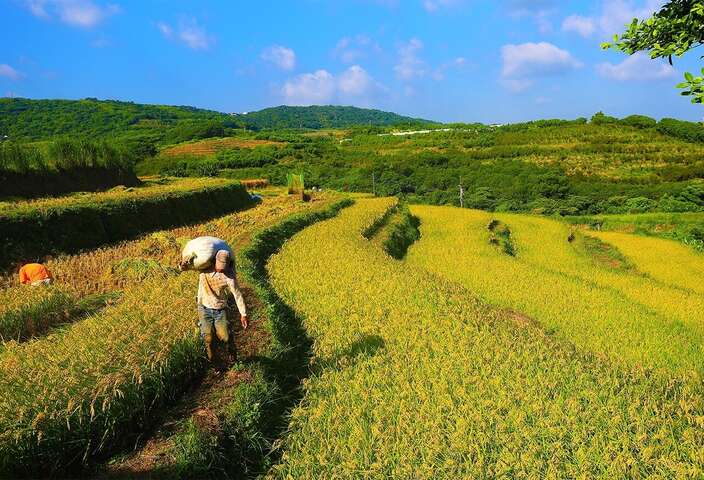 헝산 테라스 여행 추천 - 메고지고 헝산 테라스 여행 추천 - 메고지고