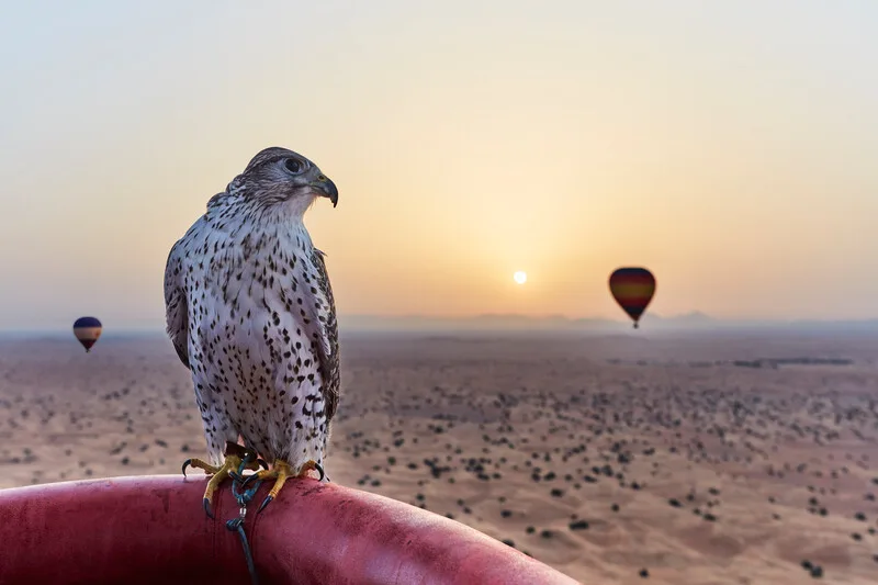 두바이 사막 열기구 (Dubai Desert Hot Air Balloon) 여행 추천 - 로드트립