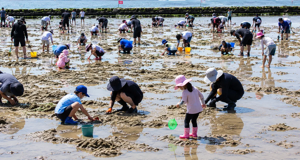 2색 해변 조간 사냥터 여행 추천 - 메고지고 2색 해변 조간 사냥터 여행 추천 - 메고지고