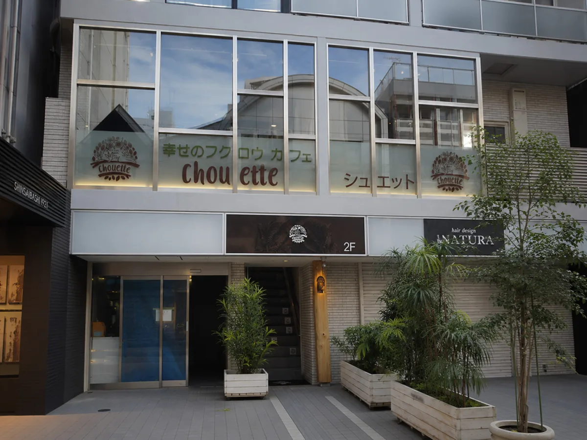 행복 올빼미 카페 chouette 여행 추천 - 메고지고 행복 올빼미 카페 chouette 여행 추천 - 메고지고