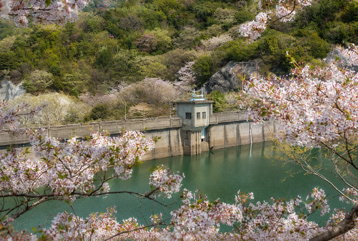 영락 댐 여행 추천 - 메고지고 영락 댐 여행 추천 - 메고지고