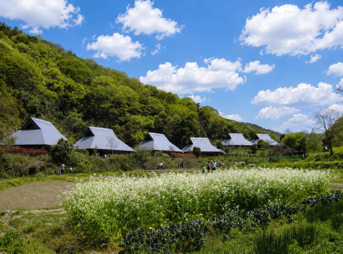 오사카 부민의 숲 (호리고 공원) [애칭: 기센 와이와이무라] 여행 추천 - 메고지고