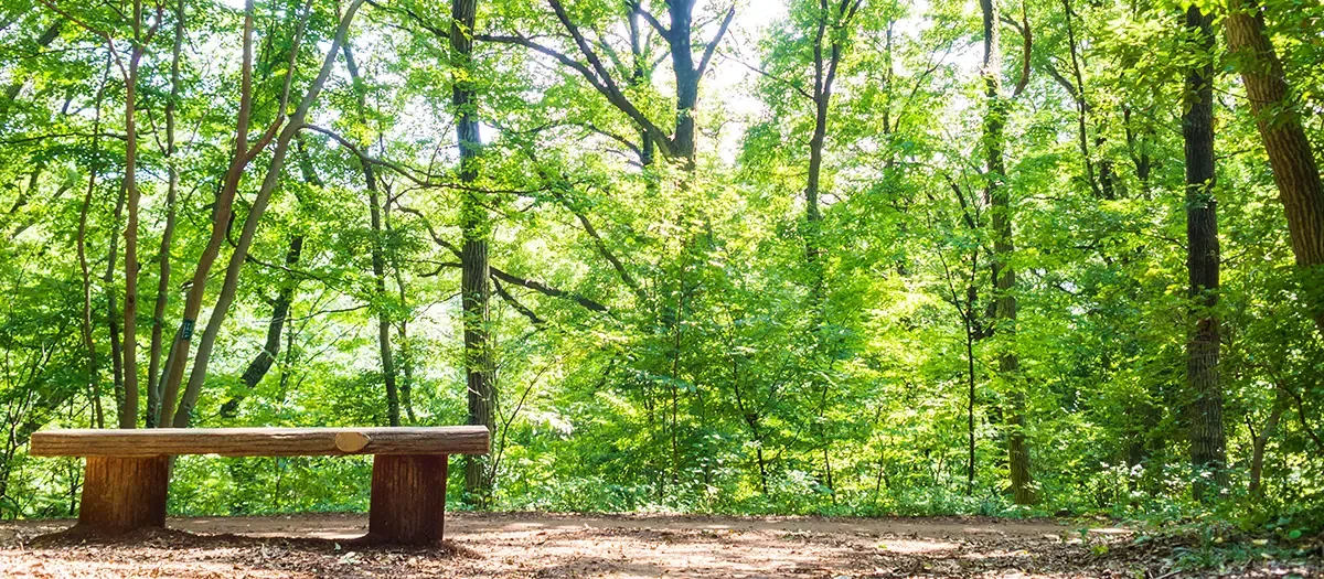 하치코쿠야마 산 녹지 여행 추천 - 메고지고 하치코쿠야마 산 녹지 여행 추천 - 메고지고