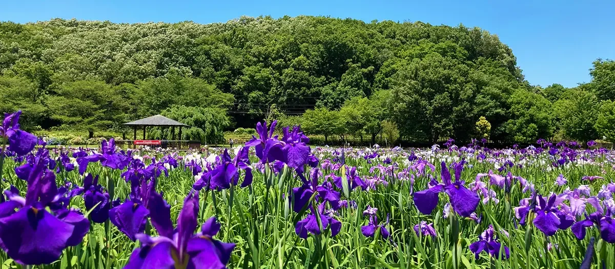기타야마 공원 여행 추천 - 메고지고 기타야마 공원 여행 추천 - 메고지고