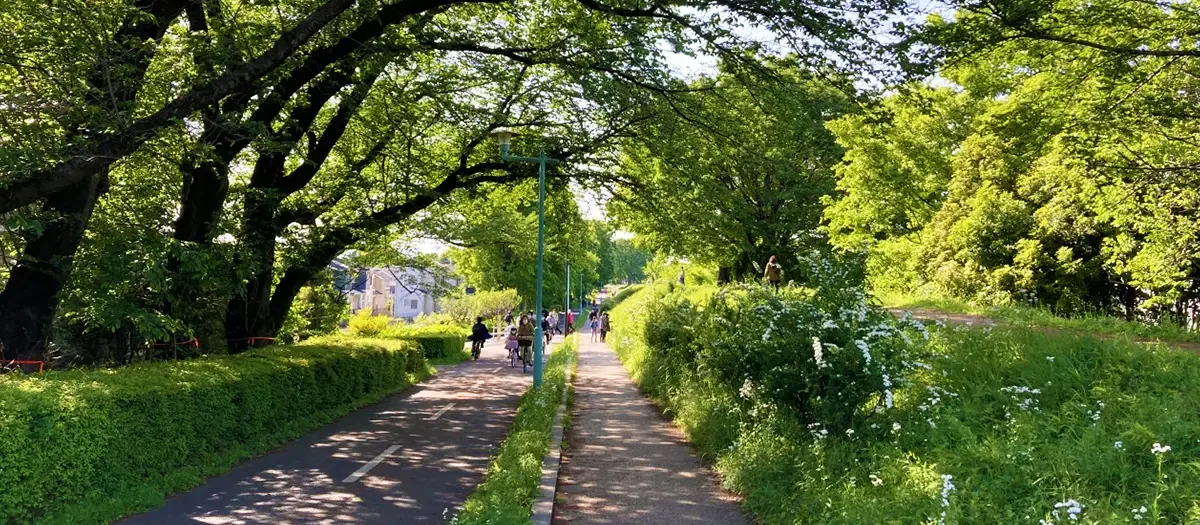 사야마·사카이 산책로 여행 추천 - 메고지고 사야마·사카이 산책로 여행 추천 - 메고지고