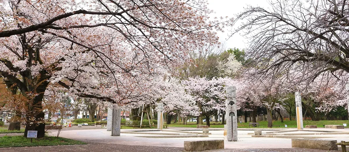 무사시노 공원 여행 추천 - 메고지고 무사시노 공원 여행 추천 - 메고지고