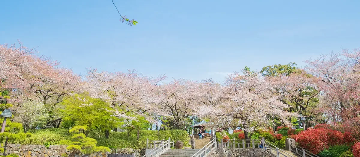 아스카야마 공원 여행 추천 - 메고지고 아스카야마 공원 여행 추천 - 메고지고