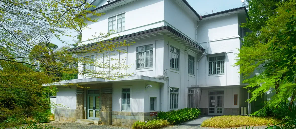 에이세이 문고 여행 추천 - 메고지고 에이세이 문고 여행 추천 - 메고지고