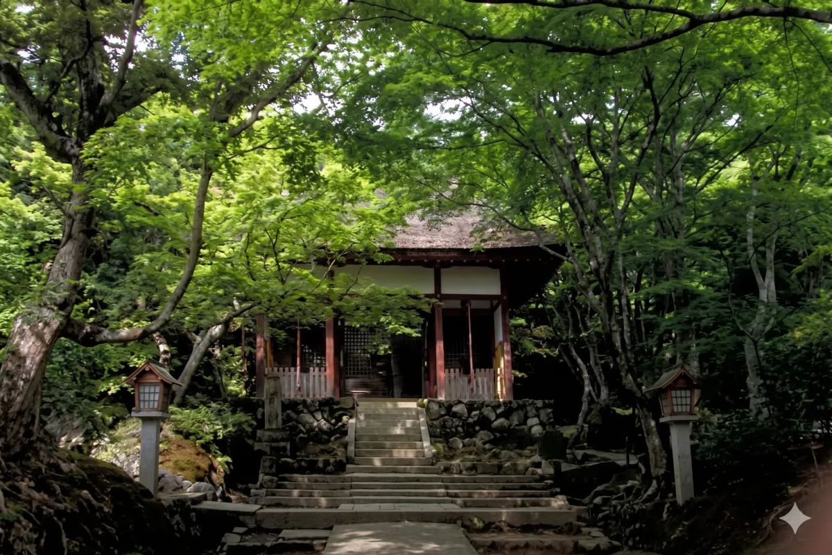 자코인 사원 여행 추천 - 메고지고 자코인 사원 여행 추천 - 메고지고