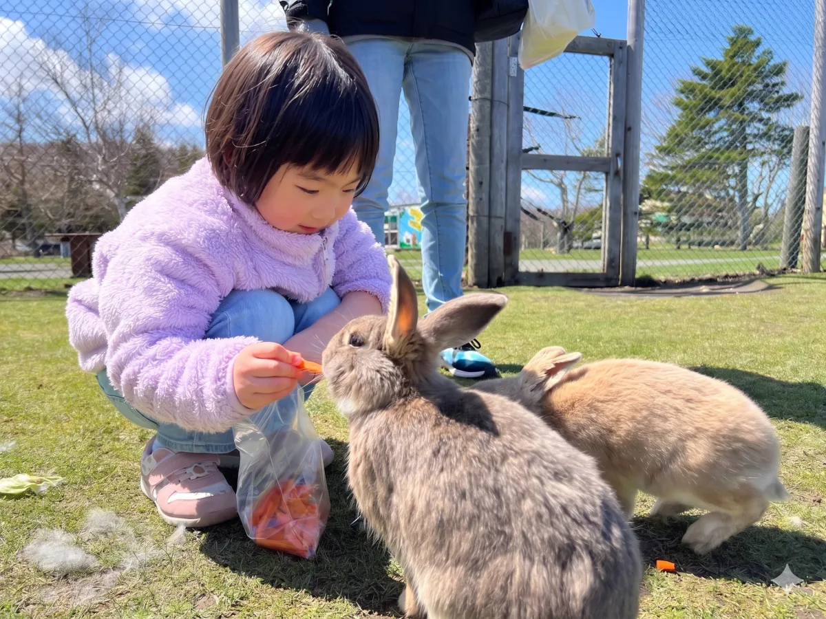 왓카나이시 동물 후레아이 랜드 여행 추천 - 메고지고 왓카나이시 동물 후레아이 랜드 여행 추천 - 메고지고