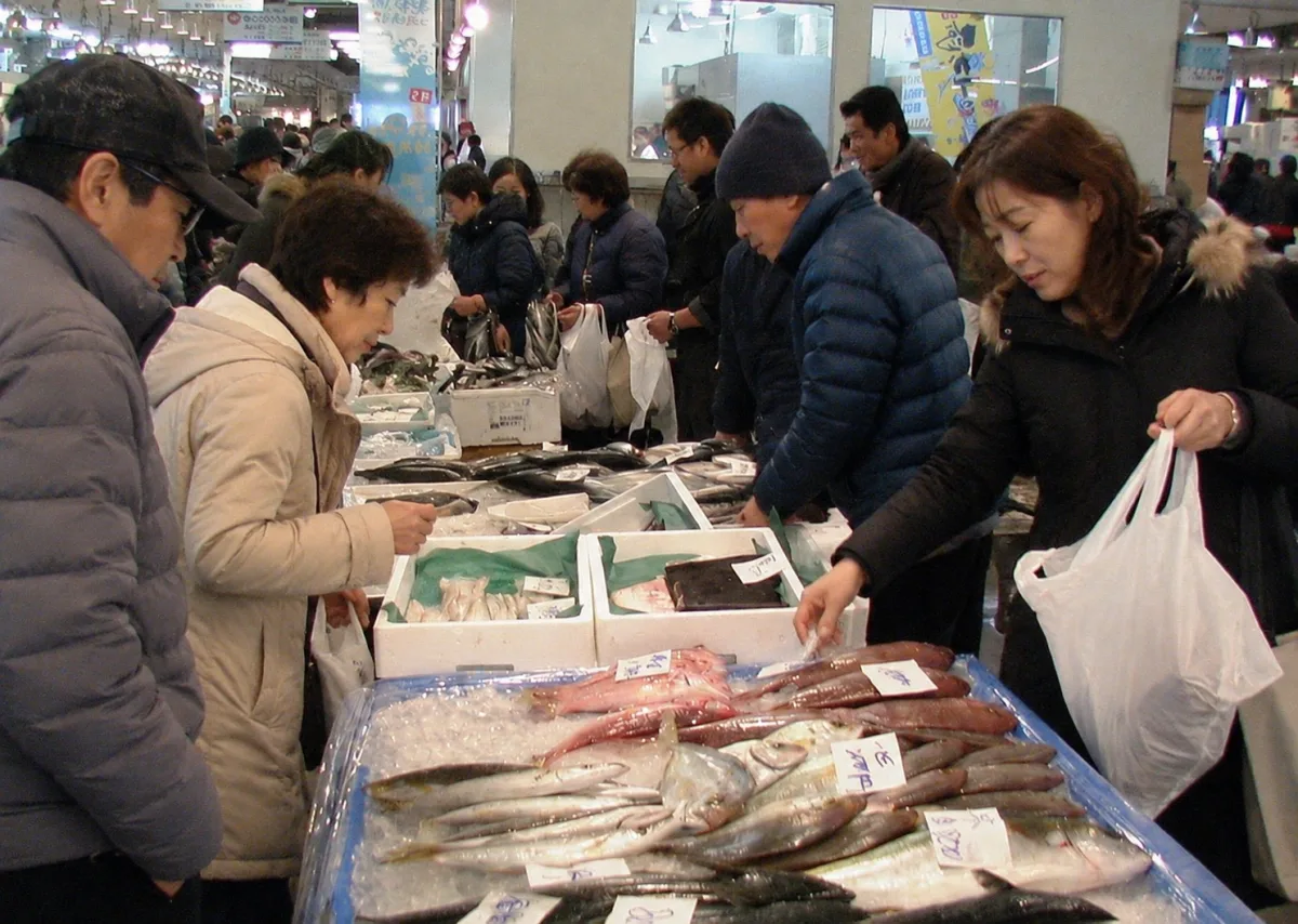 나가하마 선어시장 여행 추천 - 메고지고 나가하마 선어시장 여행 추천 - 메고지고
