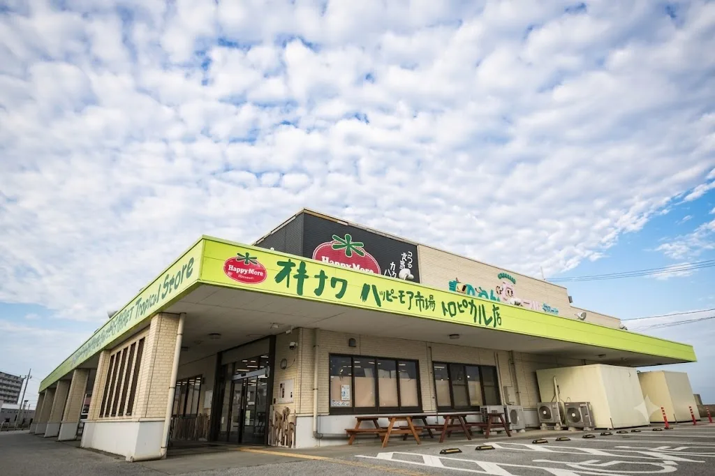 해피 모어 시장 열대 상점 여행 추천 - 메고지고