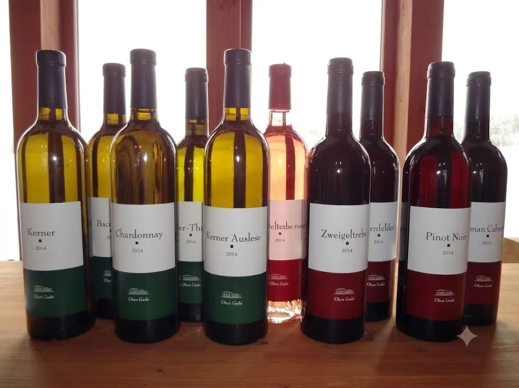 OcciGabi Winery (오치가비 와이너리) 여행 추천 - 메고지고 OcciGabi Winery (오치가비 와이너리) 여행 추천 - 메고지고