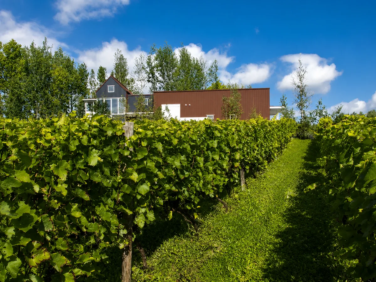TAKIZAWA WINERY 여행 추천 - 메고지고