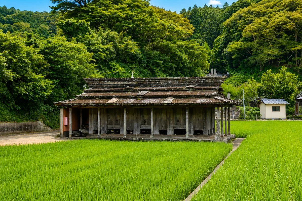 시네의 돌 지붕 창고군 여행 추천 - 메고지고 시네의 돌 지붕 창고군 여행 추천 - 메고지고