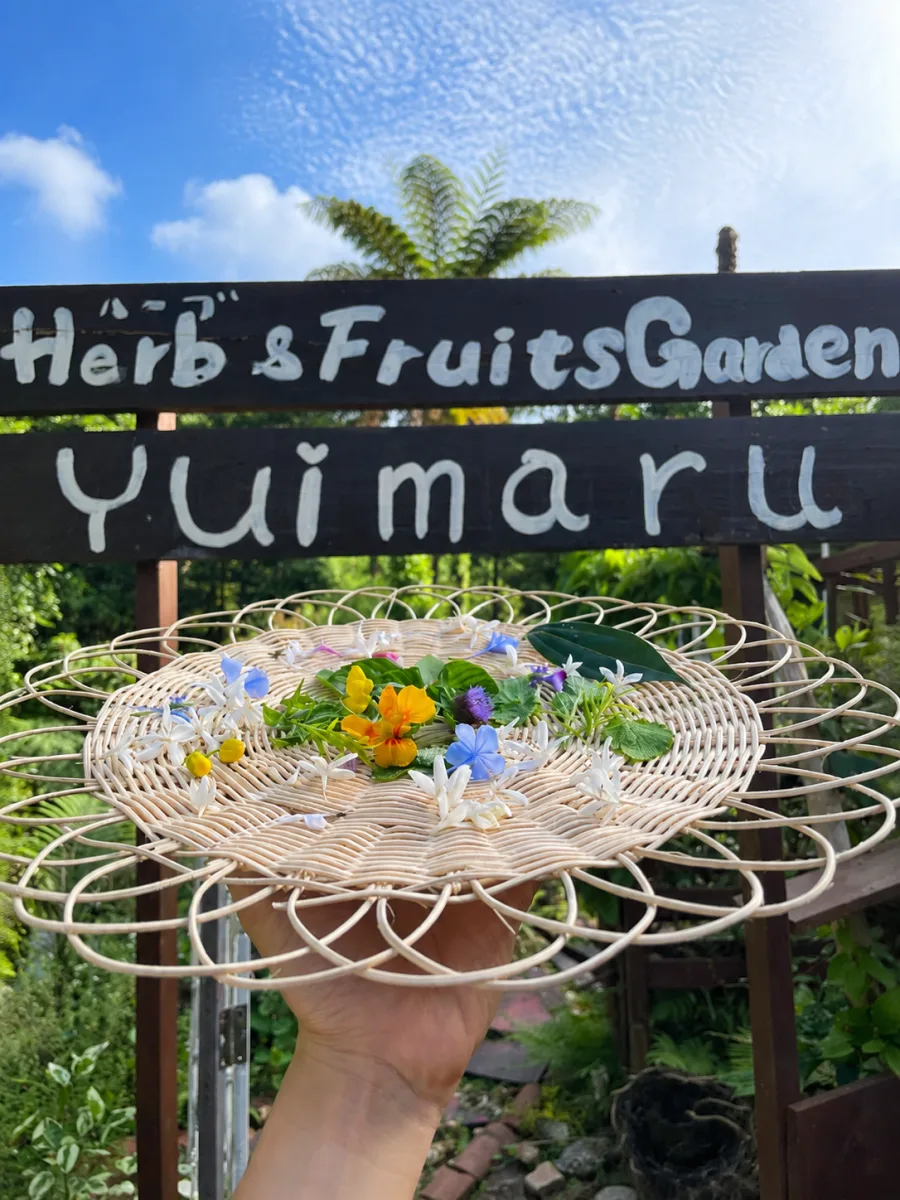 Yui 마루 Herb Garden 여행 추천 - 메고지고