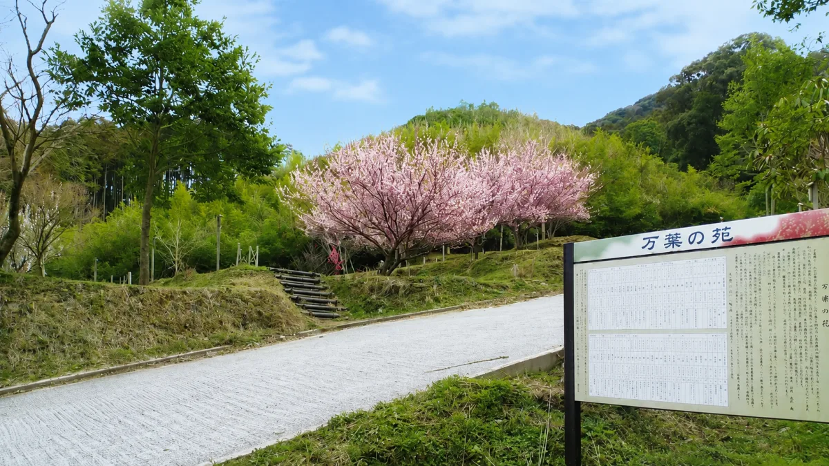 만요공원 여행 추천 - 메고지고 만요공원 여행 추천 - 메고지고