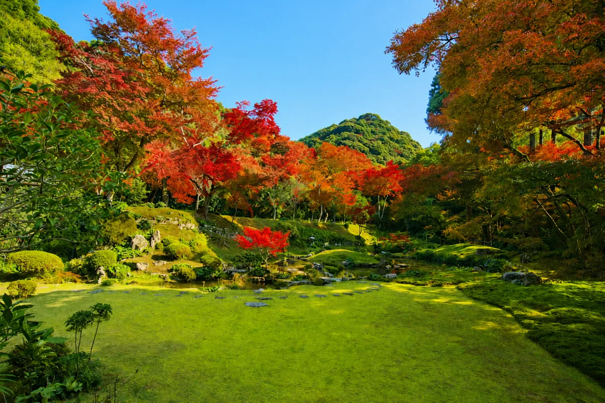 기요미즈 산의 단풍나무 여행 추천 - 메고지고 기요미즈 산의 단풍나무 여행 추천 - 메고지고