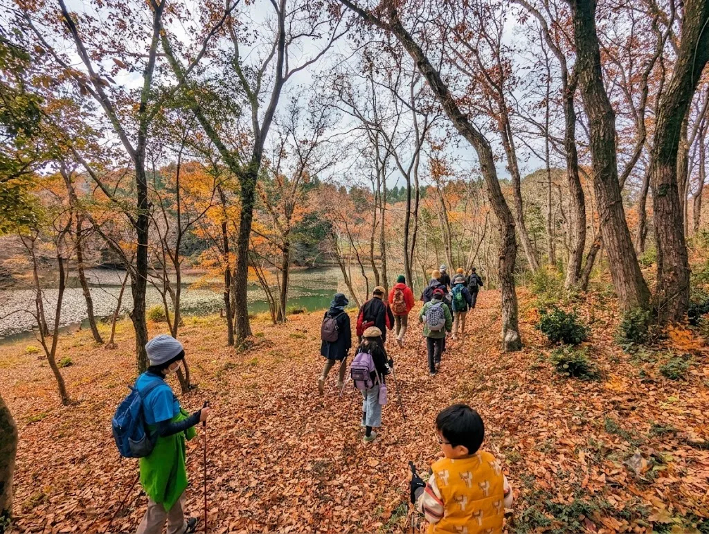 【삼림 테라피 기지 야메】도토리 줍기 오솔길 여행 추천 - 메고지고 【삼림 테라피 기지 야메】도토리 줍기 오솔길 여행 추천 - 메고지고