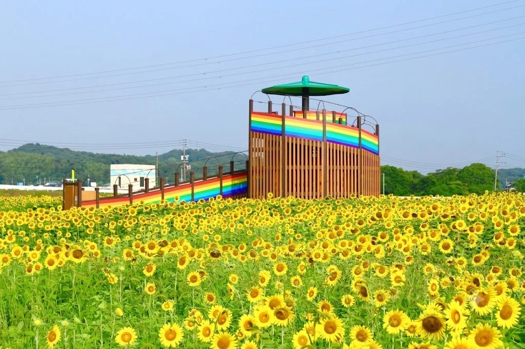 오토 사쿠라 가도 하나공원 여행 추천 - 메고지고 오토 사쿠라 가도 하나공원 여행 추천 - 메고지고