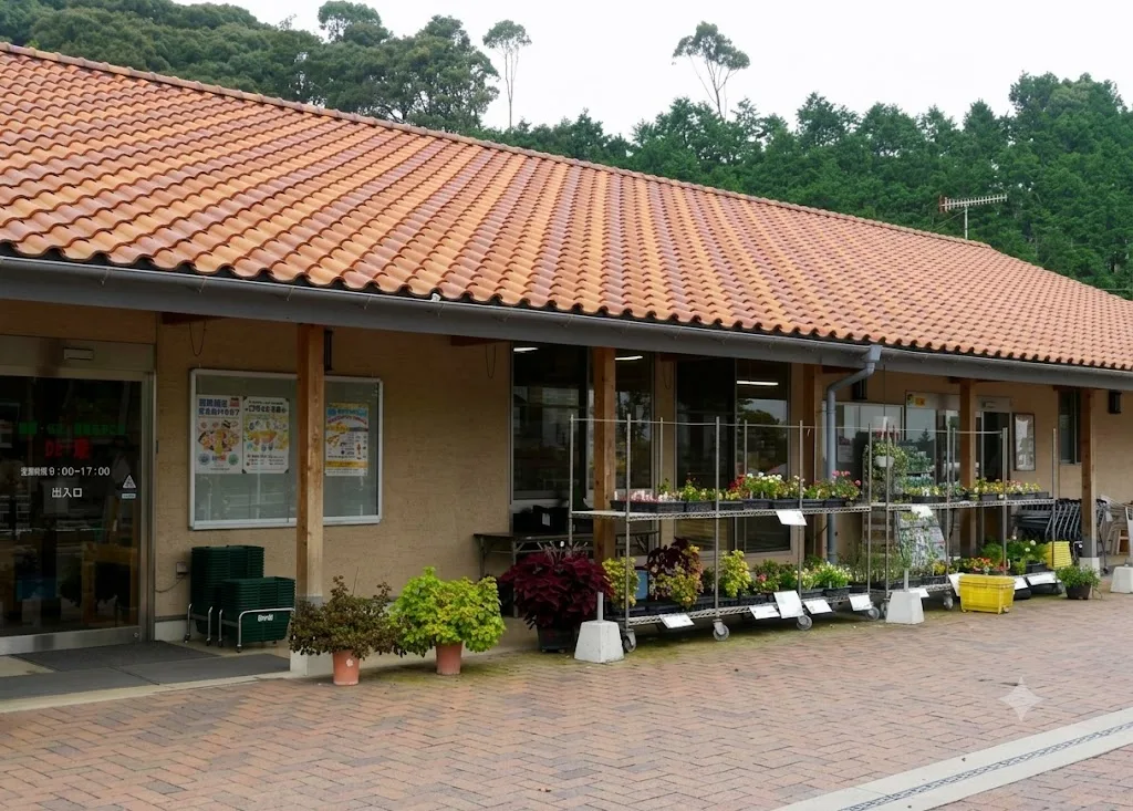 카와사키마치 농산물직매소 디・아이 여행 추천 - 메고지고 카와사키마치 농산물직매소 디・아이 여행 추천 - 메고지고