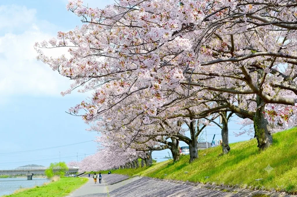 이마가와 강변 여행 추천 - 메고지고