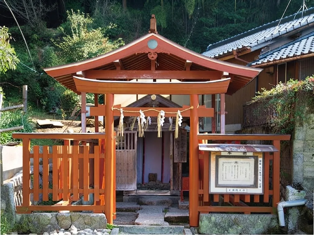 불로수 여행 추천 - 메고지고 불로수 여행 추천 - 메고지고