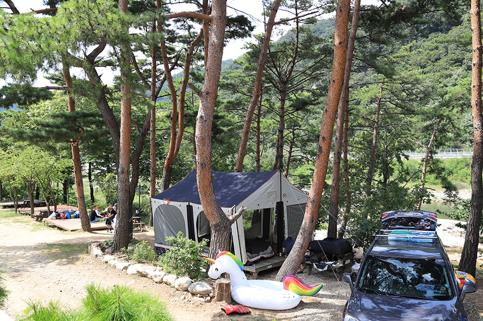 솔방울 펜션캠핑장 여행 추천 - 메고지고 솔방울 펜션캠핑장 여행 추천 - 메고지고