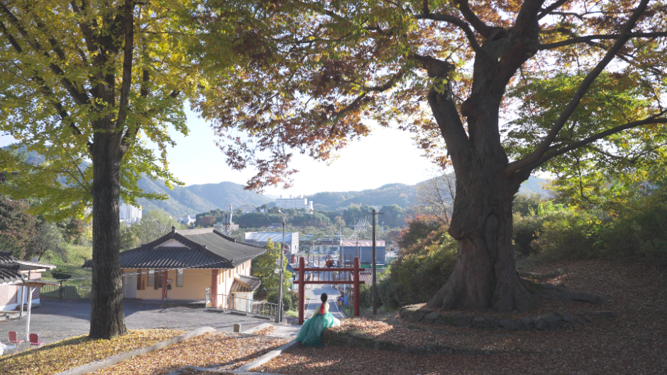 괴산향교 여행 추천 - 메고지고